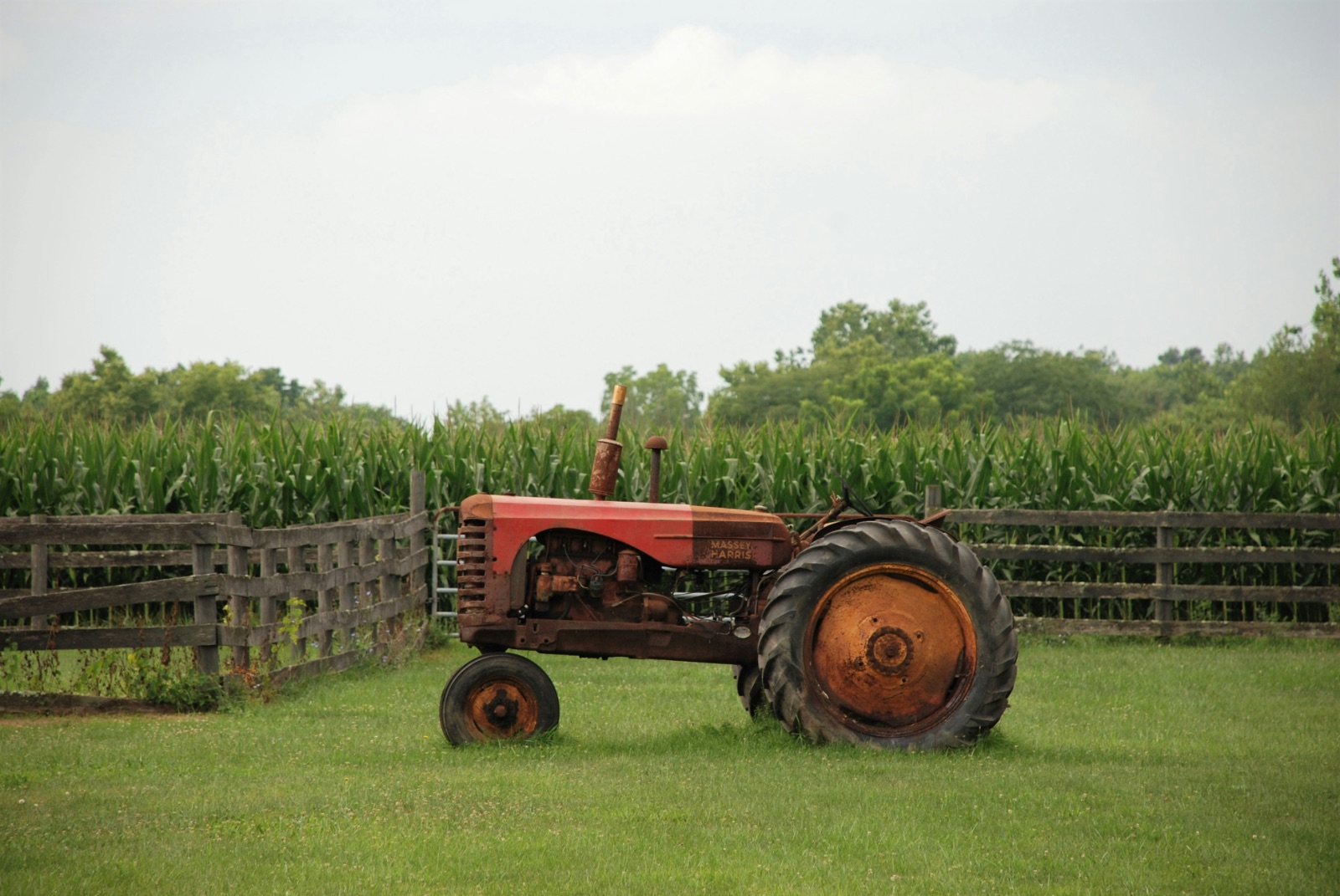 Rusted vintage tractor on a farm
